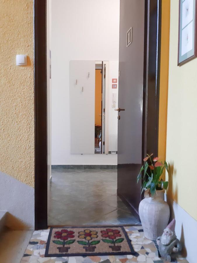 Apartment Anka オパティヤ エクステリア 写真